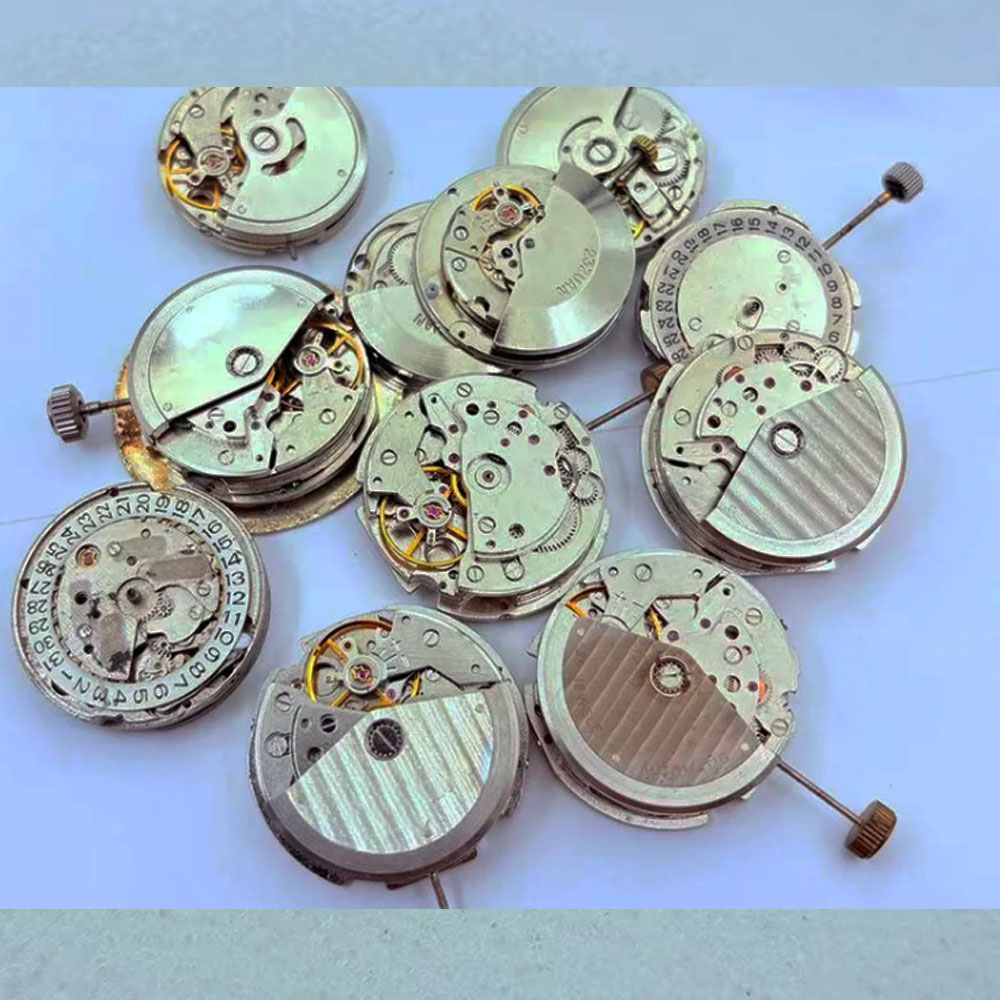 Accesorios para relojes, movim - Watch Winder Compact reseña y precio